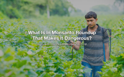 What Is In Monsanto Roundup That Makes It Dangerous?
