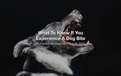 What To Know If You Experience A Dog Bite