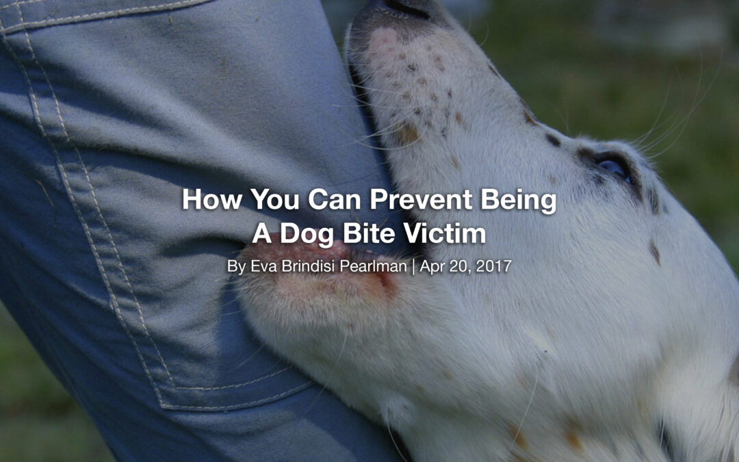 How You Can Prevent Being A Dog Bite Victim