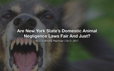 Are New York State’s Domestic Animal Negligence Laws Fair And Just?