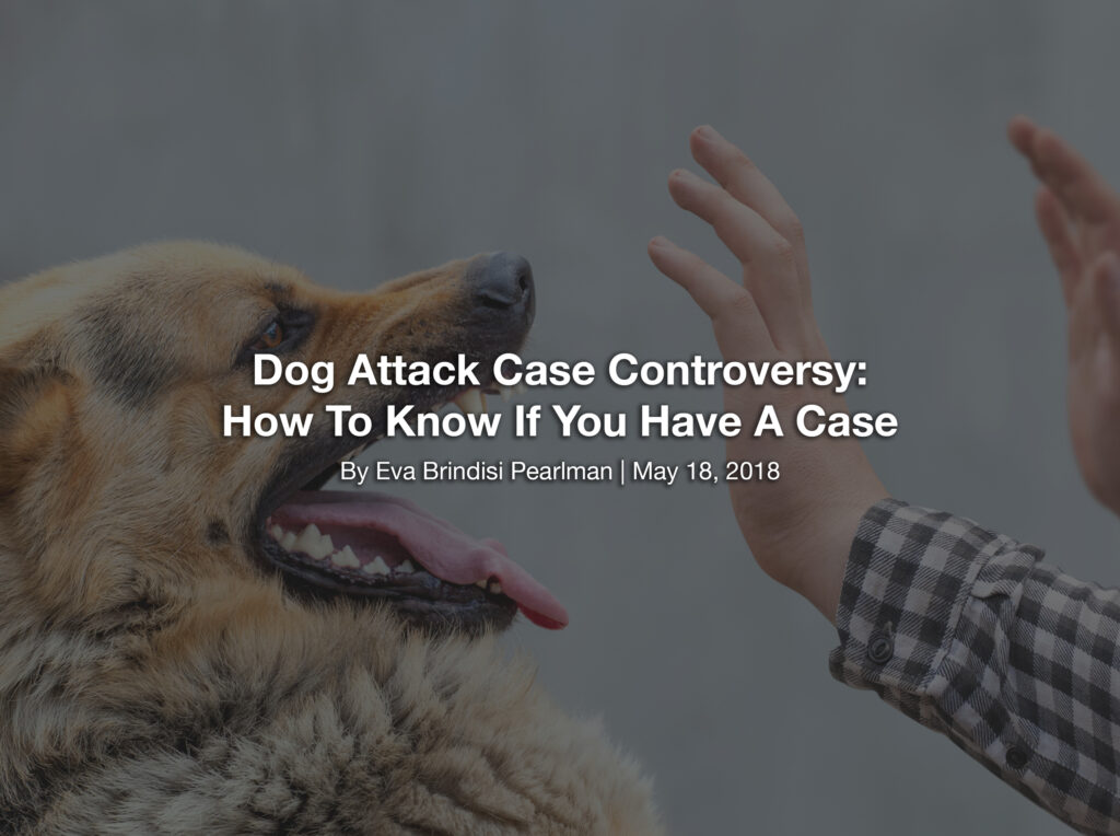 Dog Attack Case Controversy How To Know If You Have A Case Utica and