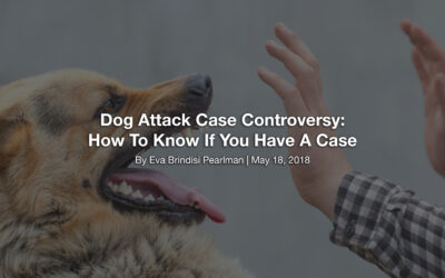 Dog Attack Case Controversy: How To Know If You Have A Case
